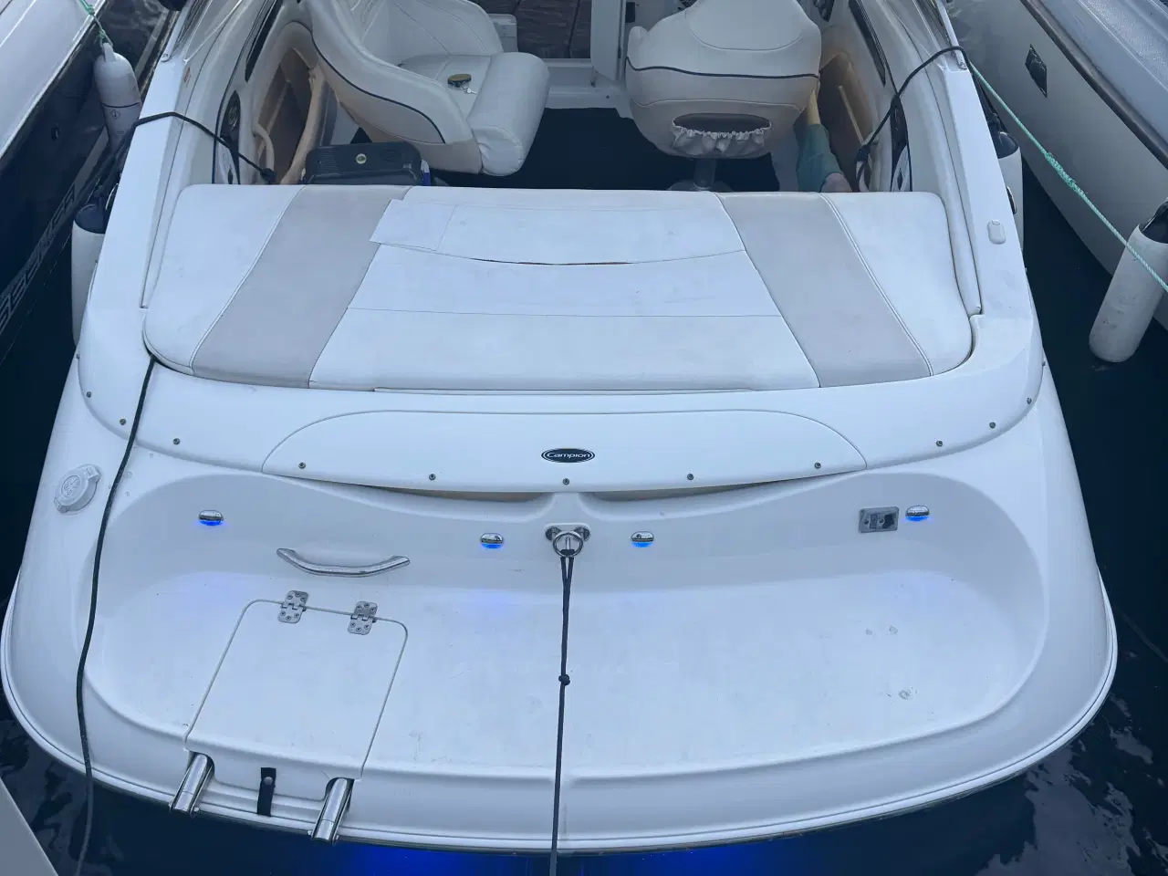 Billede 5 - Campion chase 630