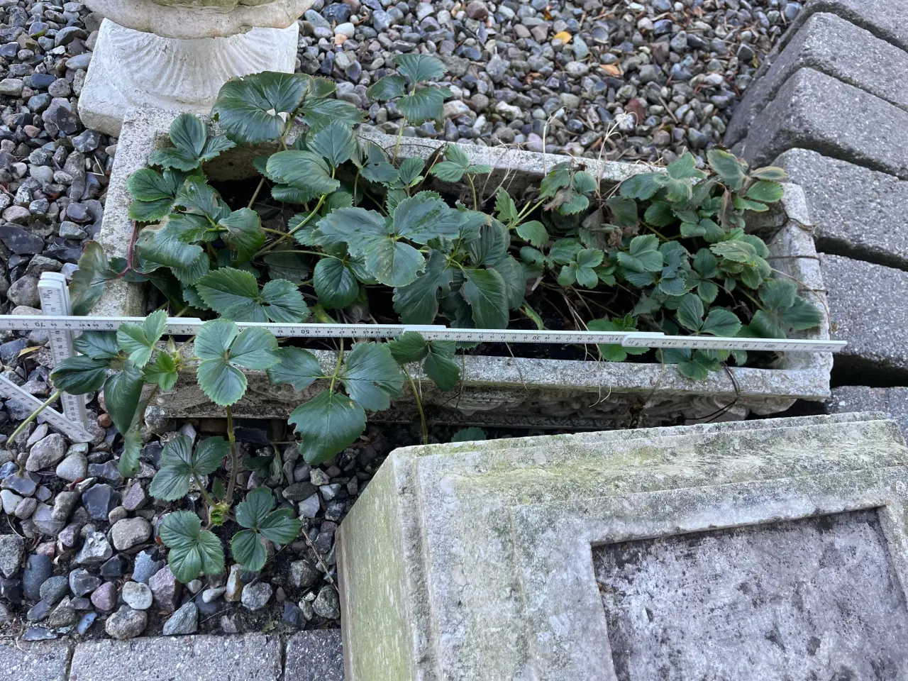 Billede 3 - Smuk fransk antik sandsten blomsterkasse 