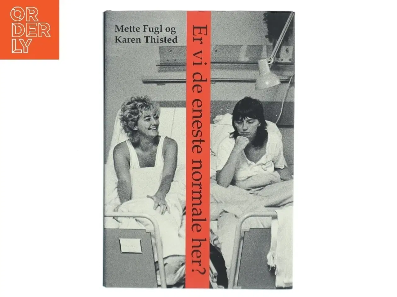 Billede 1 - Er vi de eneste normale her? : noter, anekdoter og samtaler om visse erindringer (Bog)