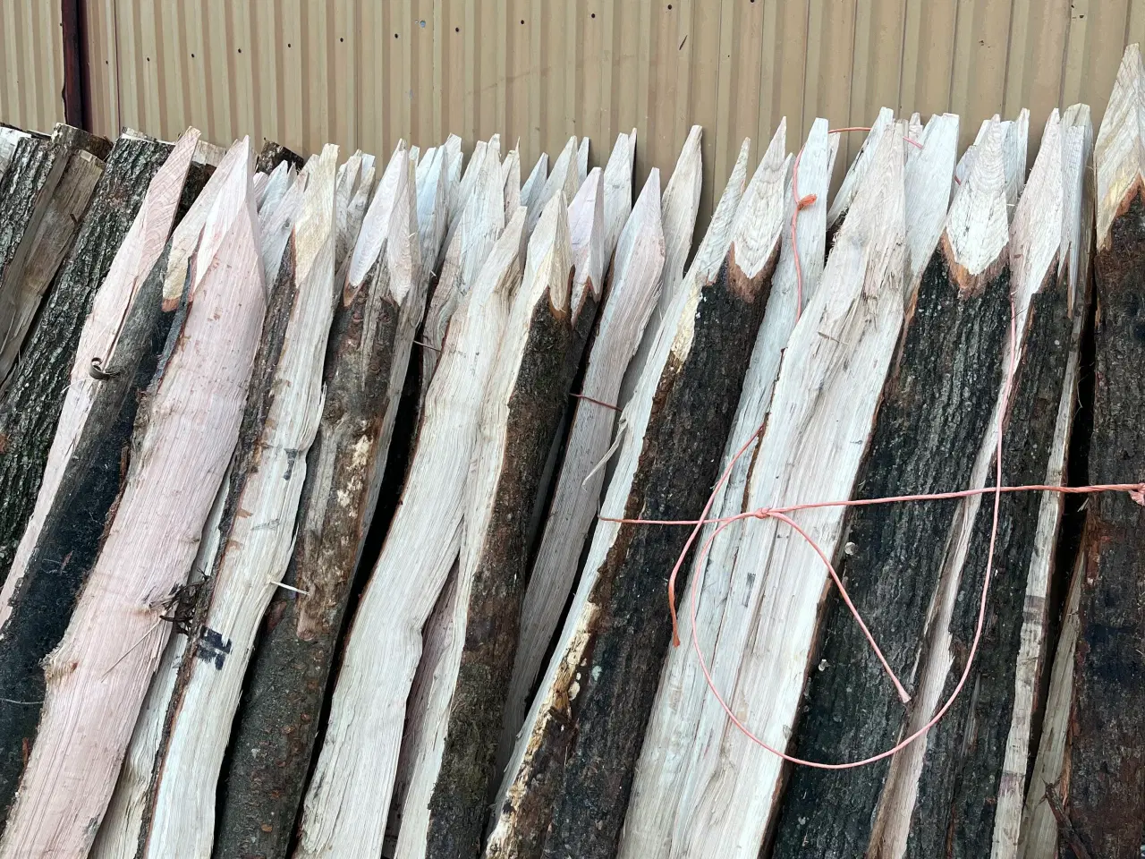 Billede 1 - Egetræspæle 