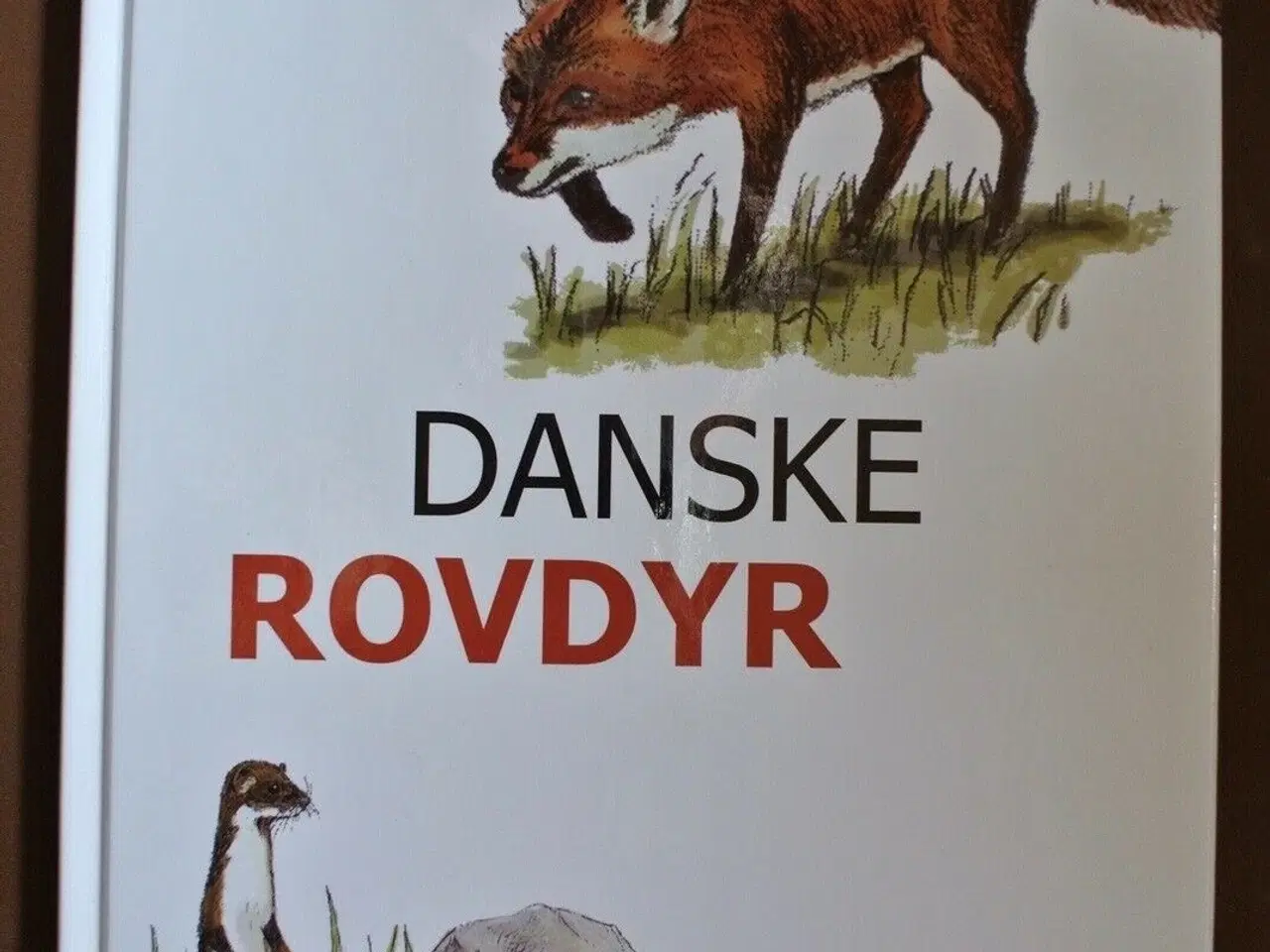 Billede 1 - danske rovdyr, af jørgen liljensøe. ill. af erik s