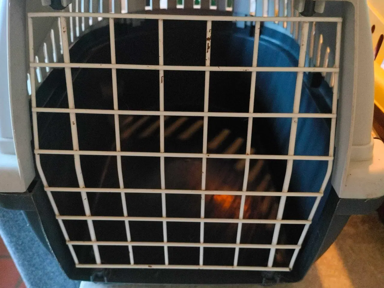 Billede 4 - Billige transportbure til kat/lille hund