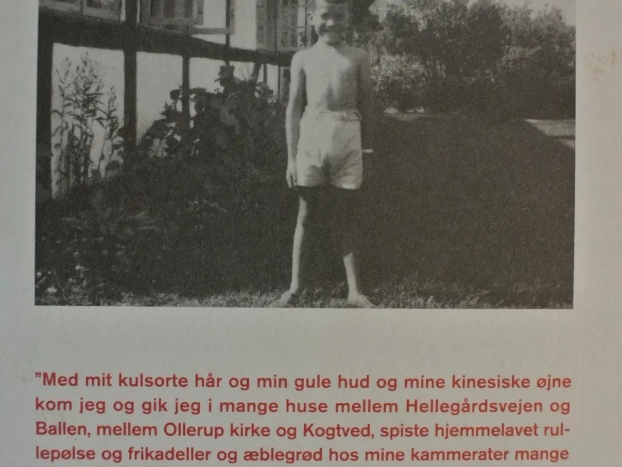 Billede 3 - egense - en historie om den store vide verden, af 