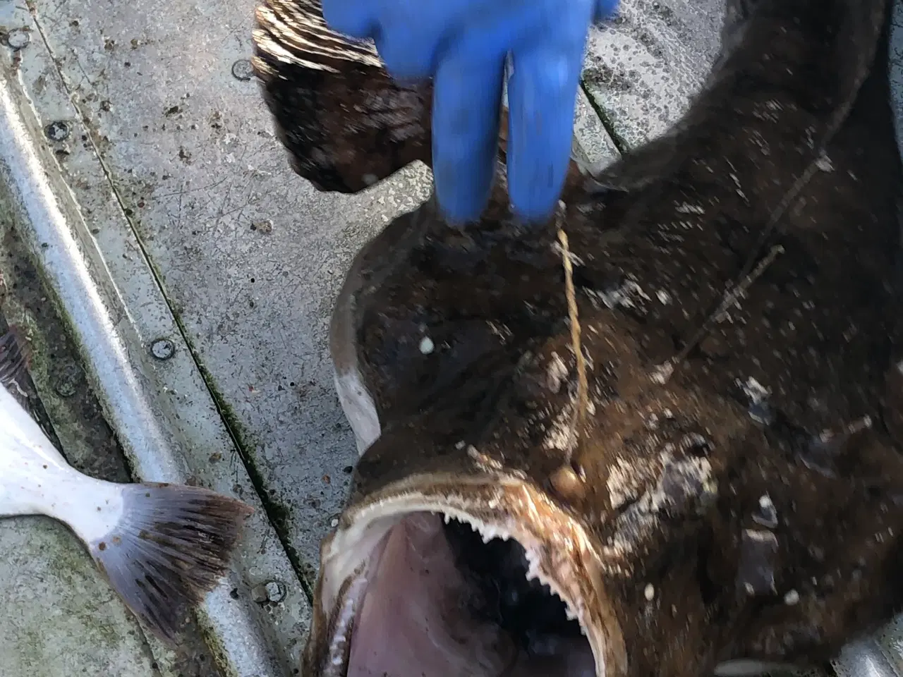 Billede 6 - TOGGEGARN - Syet på næsten nye over og undertæller