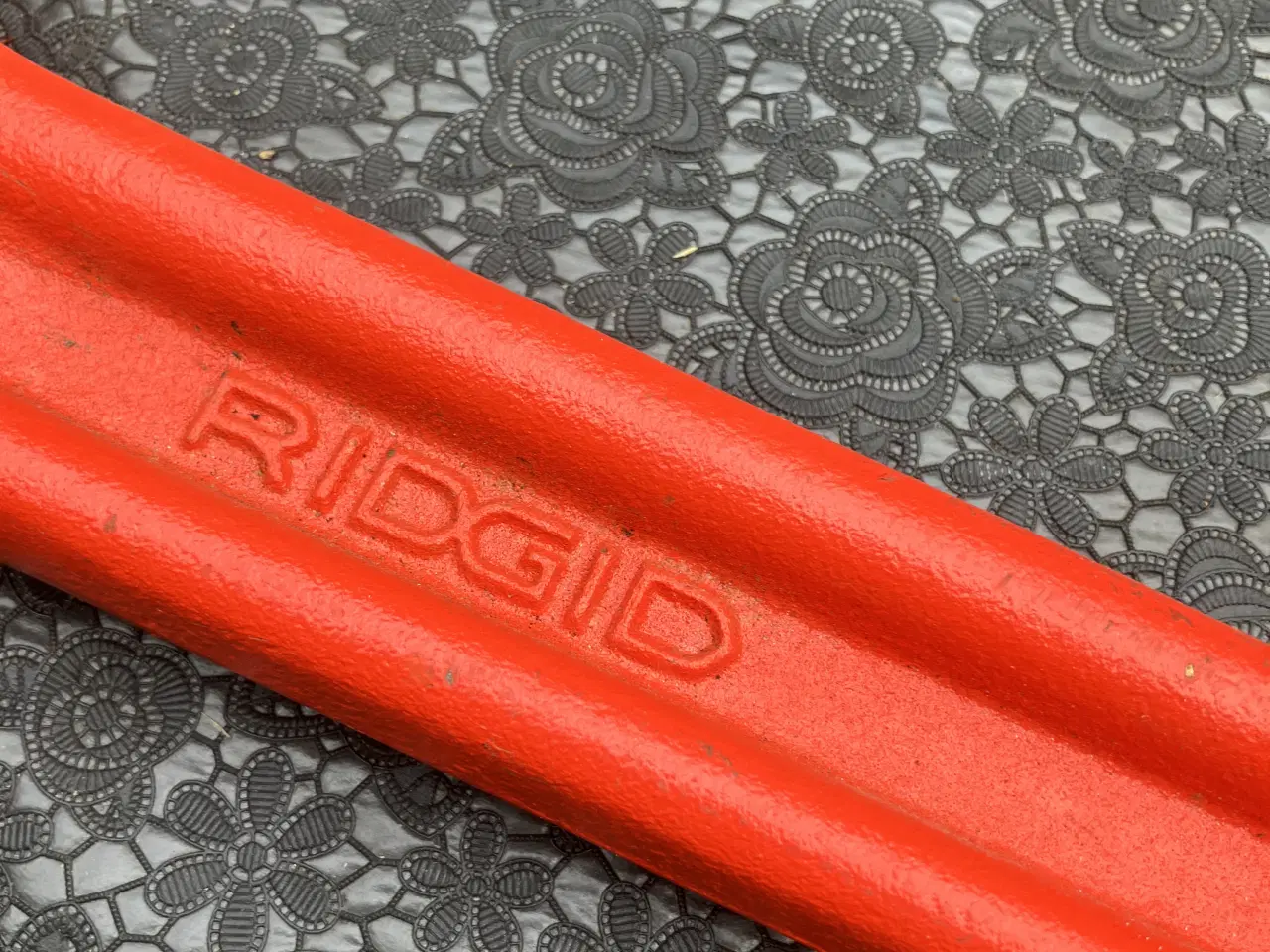 Billede 4 - Kæderørtang