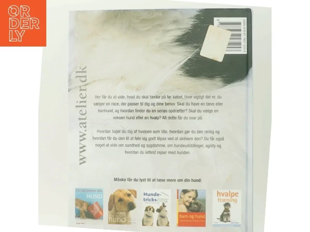 Billede 3 - At få hund : hundeejernes første håndbog af Ulla Barvefjord (Bog)