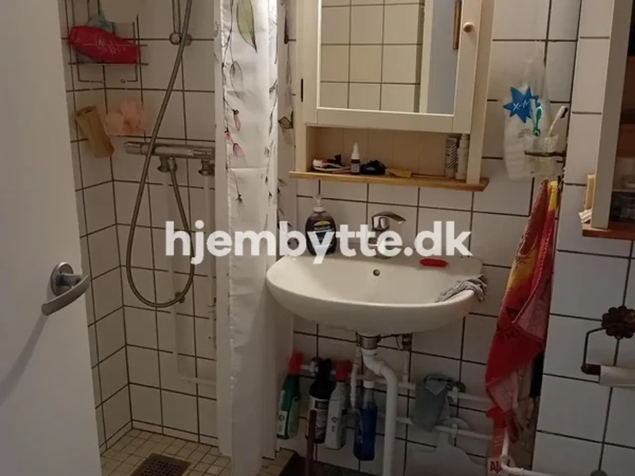 Billede 9 - Hjembytte - Buskager