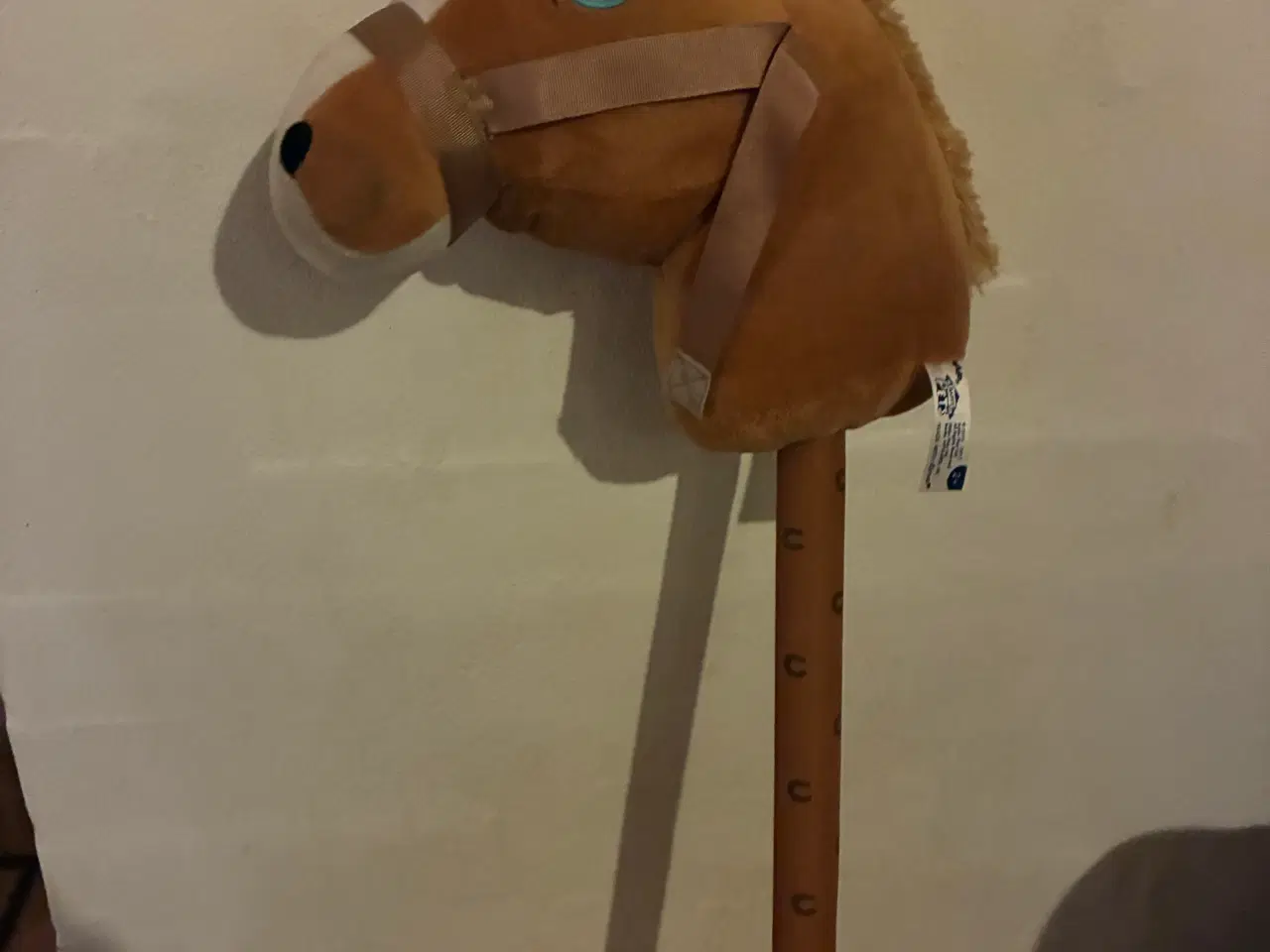 Billede 4 - Kæpheste