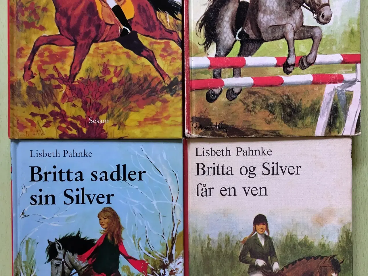 Billede 1 - Britta og Silver bøger
