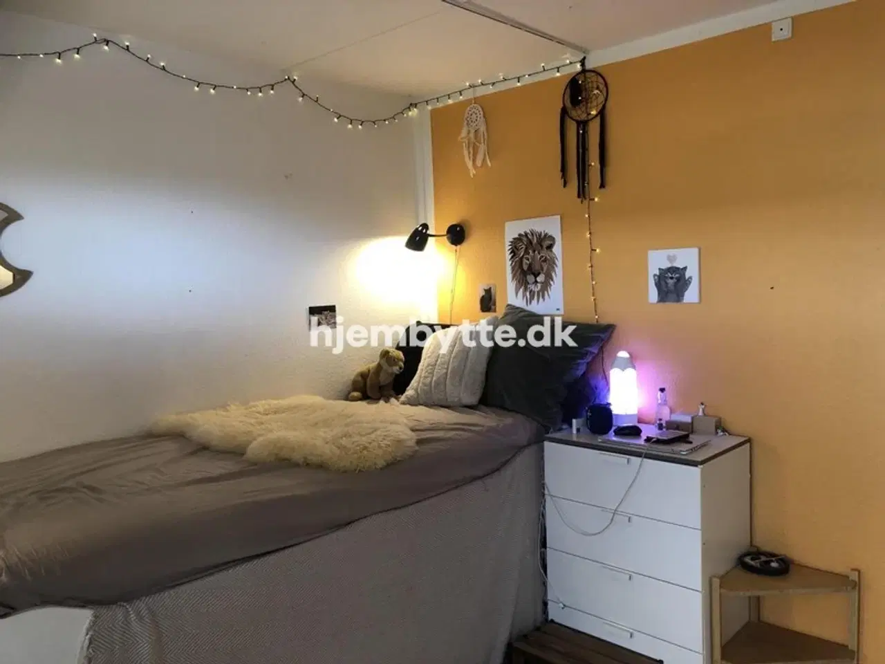 Billede 2 - Hjembytte - Skovengen