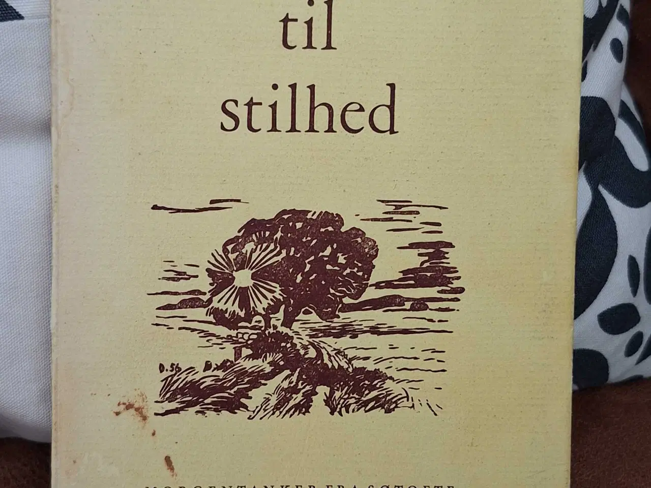 Billede 2 - En vej til stilhed 