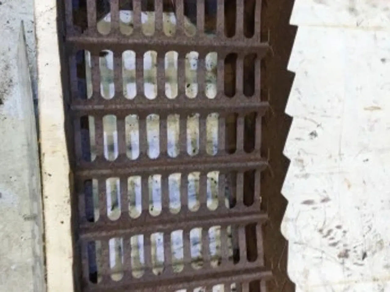 Billede 21 - Claas Dominator Ryster 678282.0