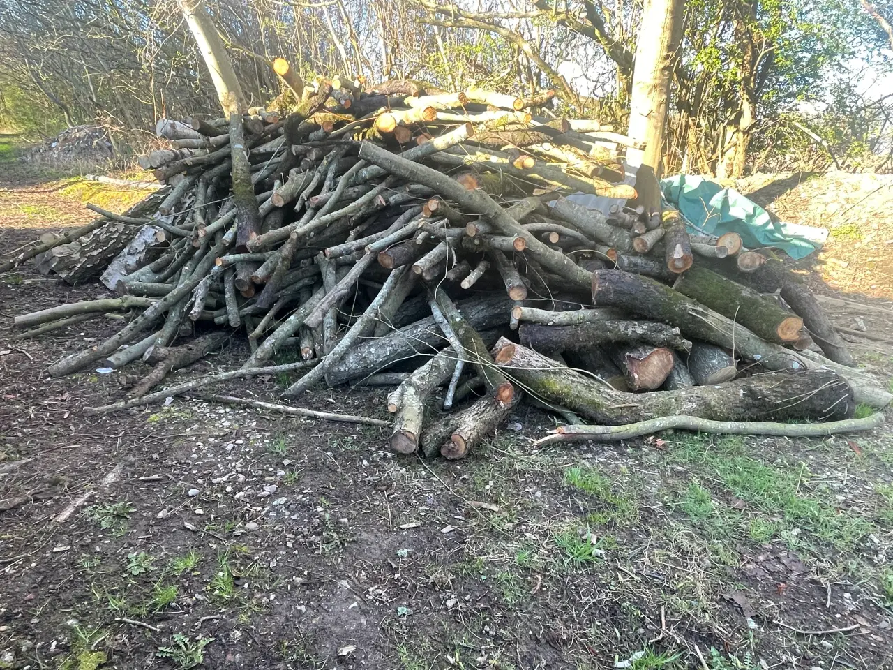 Billede 2 - Brænde sælges