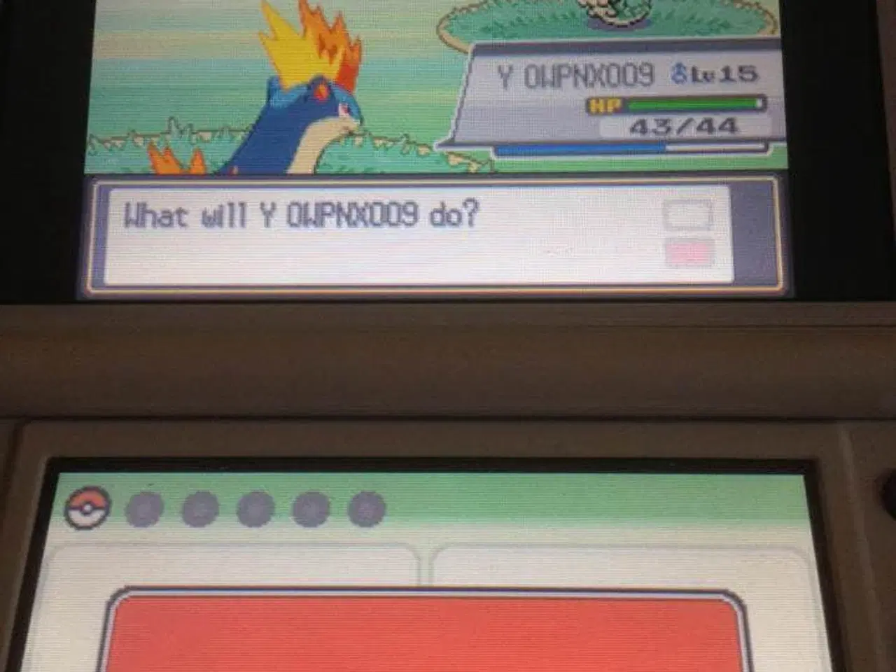 Billede 4 - pokemon spil, zelda, animal crossing