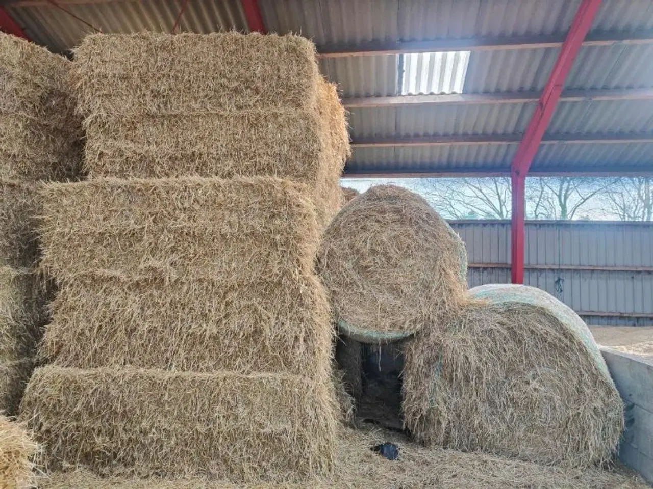 Billede 1 - Rundballer , Vårbyg 6 stk.