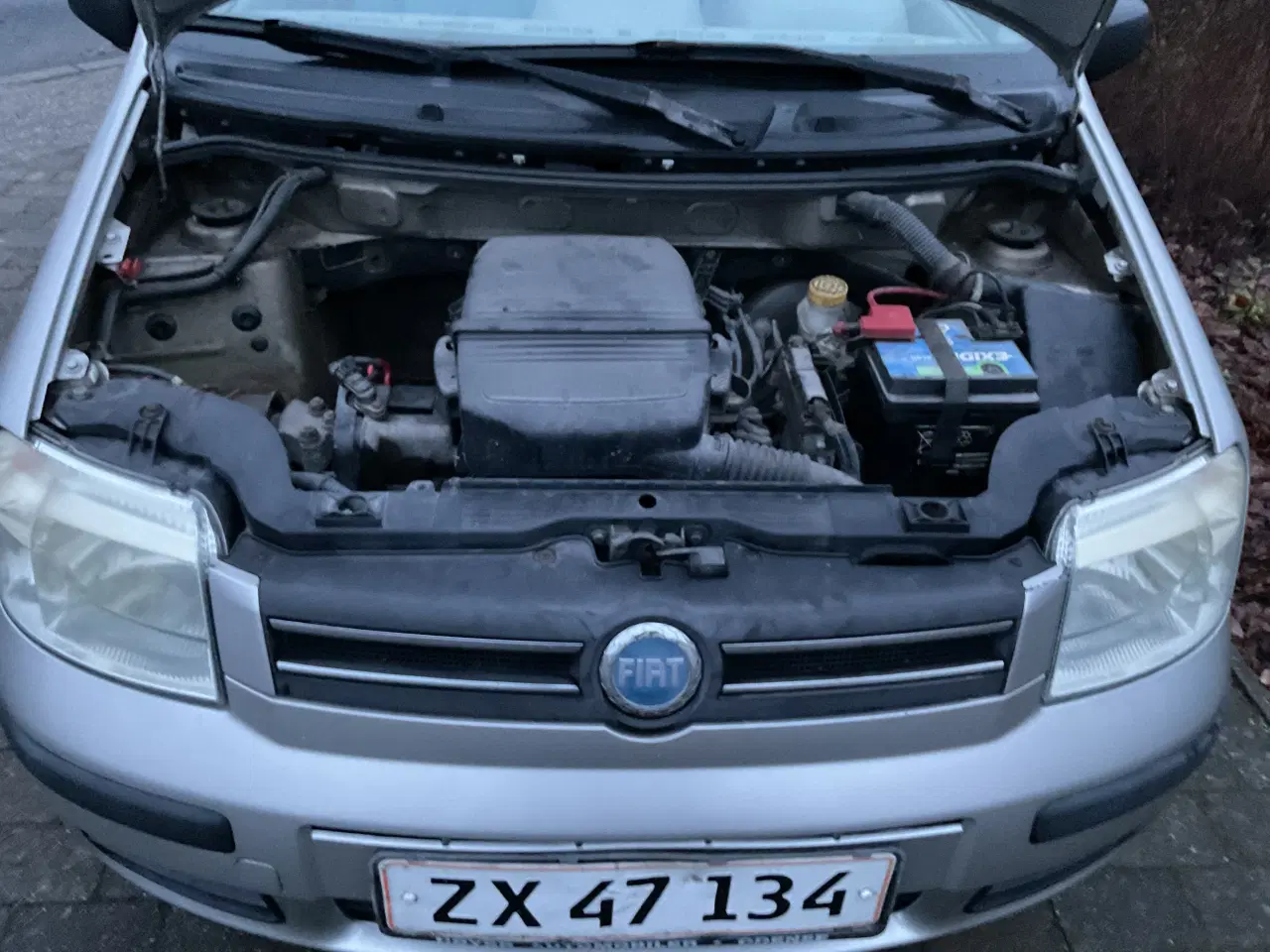 Billede 2 - Fin gammel panda