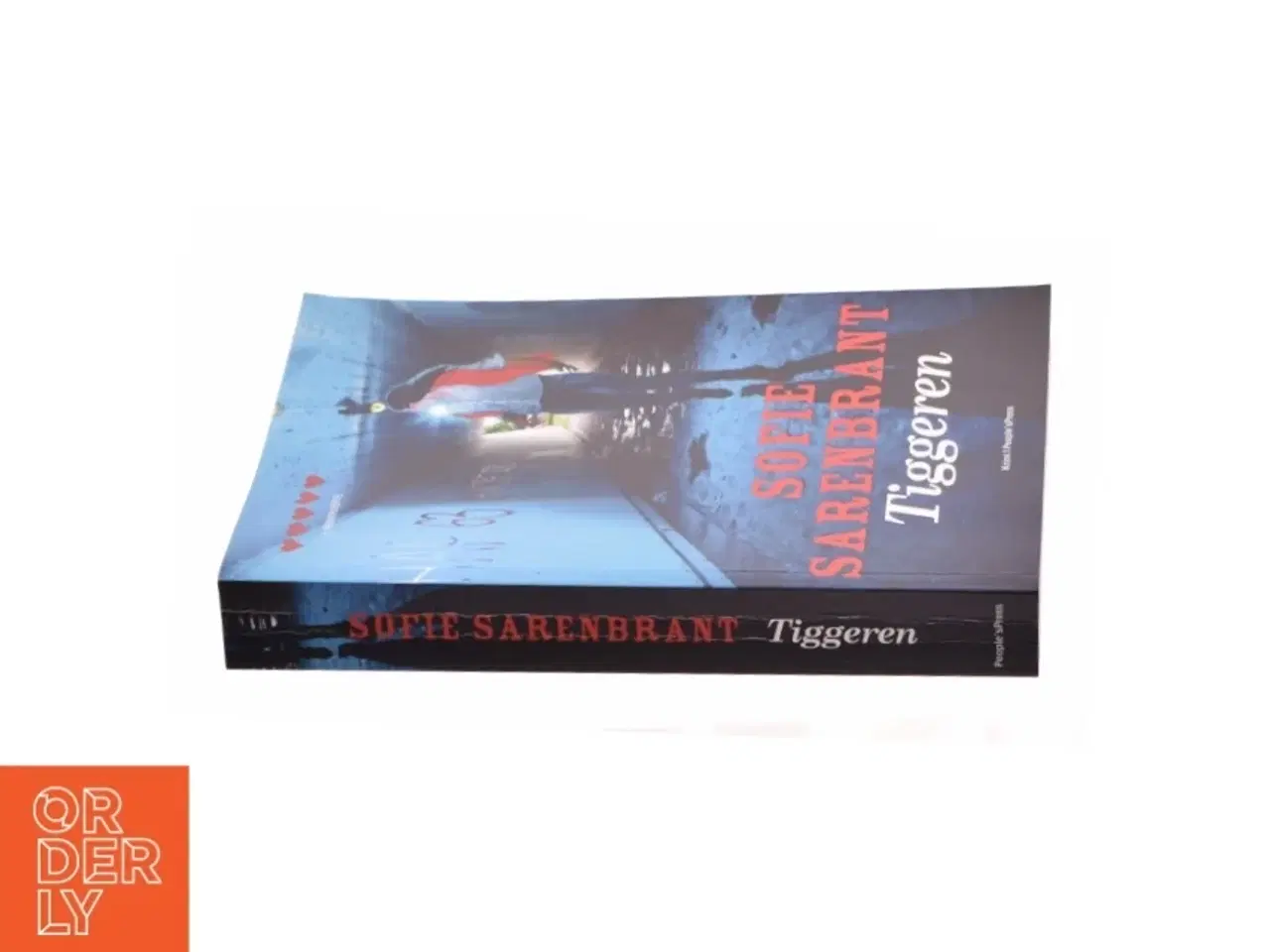 Billede 3 - Tiggeren af Sofie Sarenbrant (Bog)