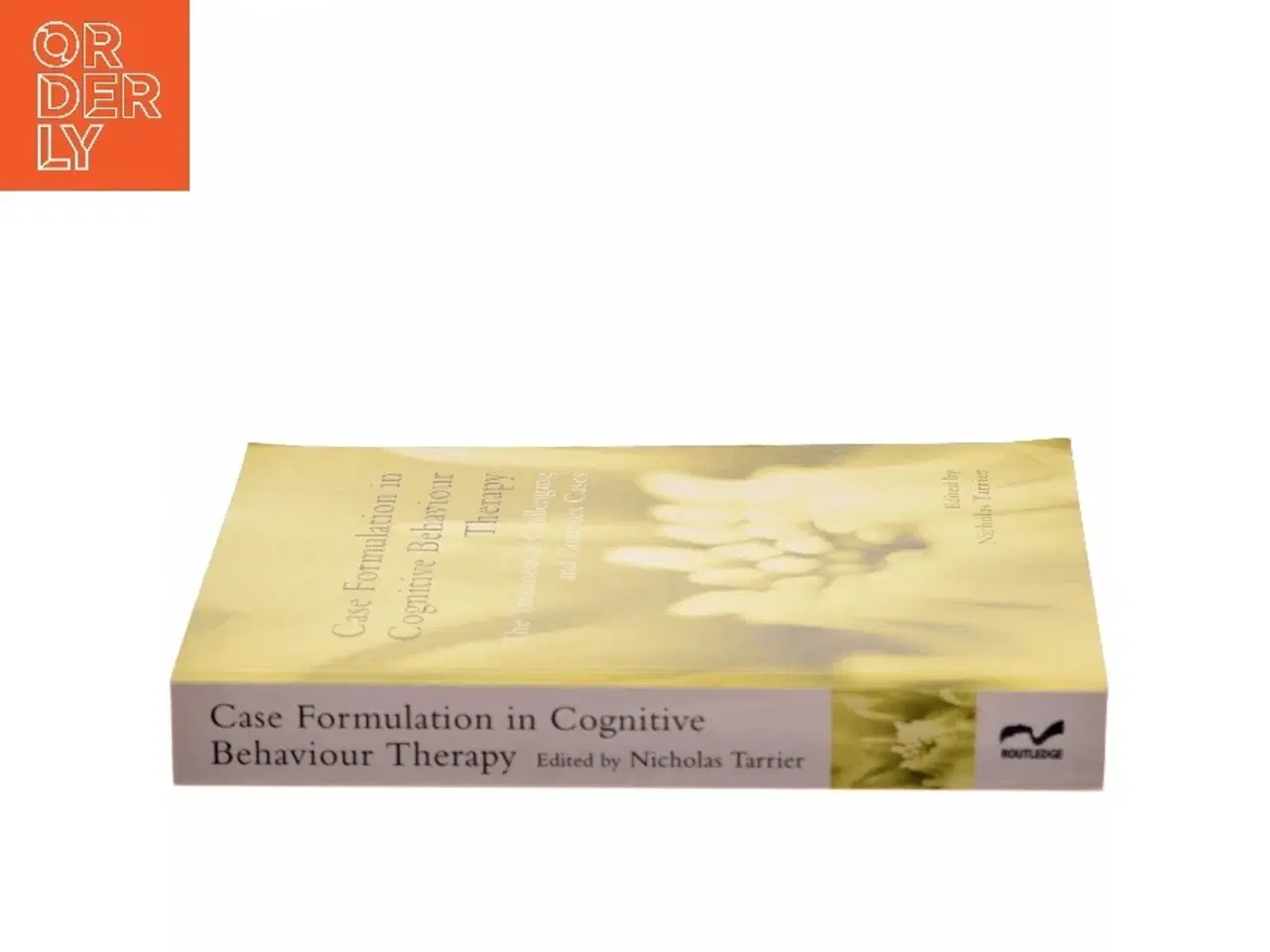 Billede 2 - Case formulation in cognitive behaviour therapy : the treatment of challenging and complex cases (Bog)