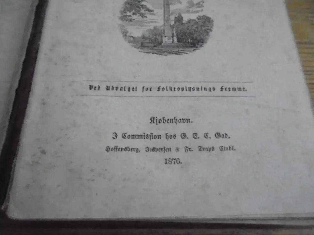 Billede 2 - Ørvarodds Saga – Udg. Fra 1876  