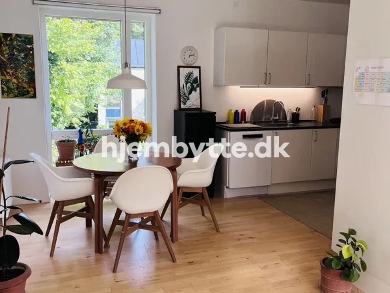 Billede 1 - Hjembytte - Teglgårdsvej