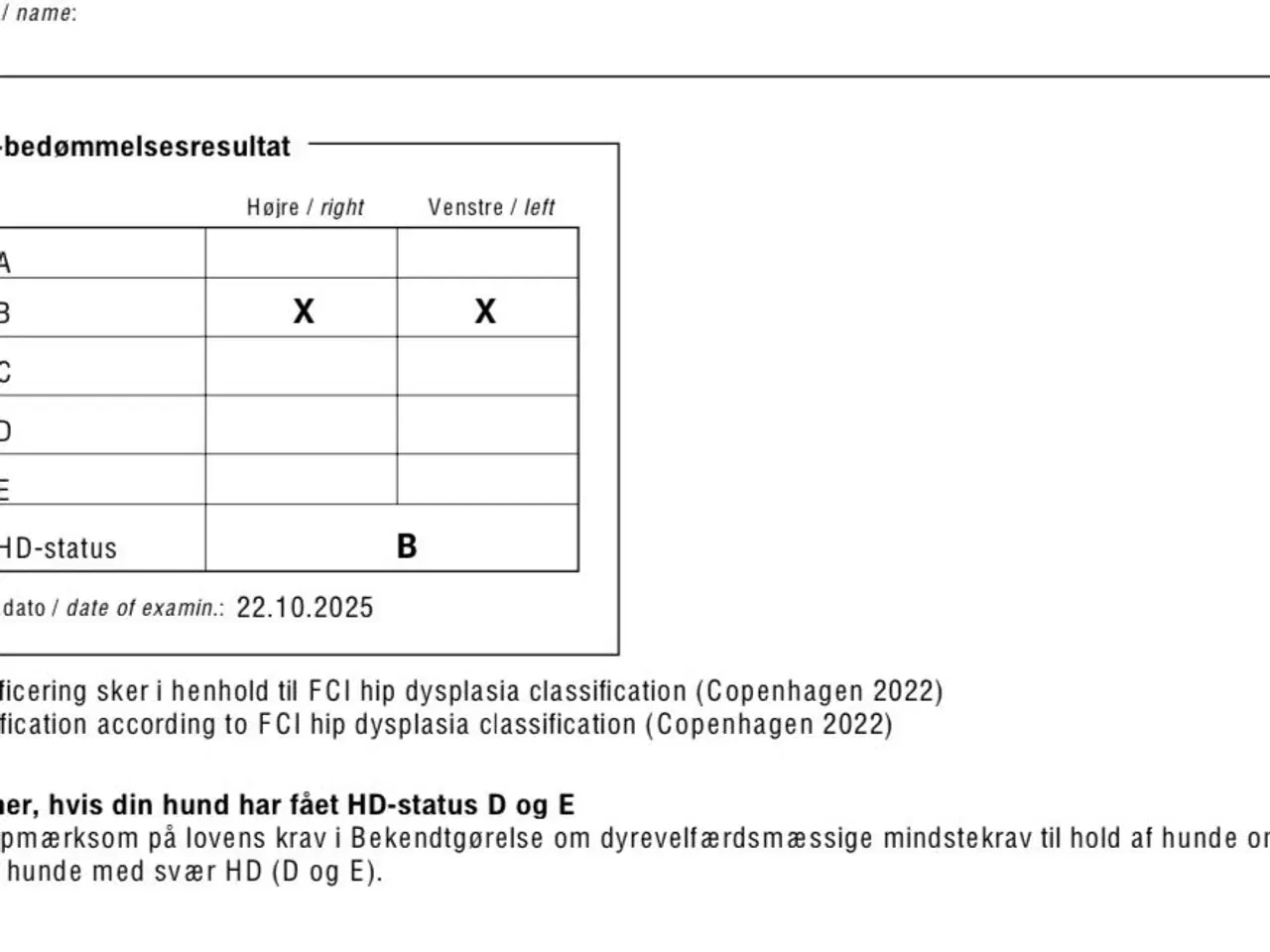 Billede 3 - Rød/gul labrador tilbydes til parring