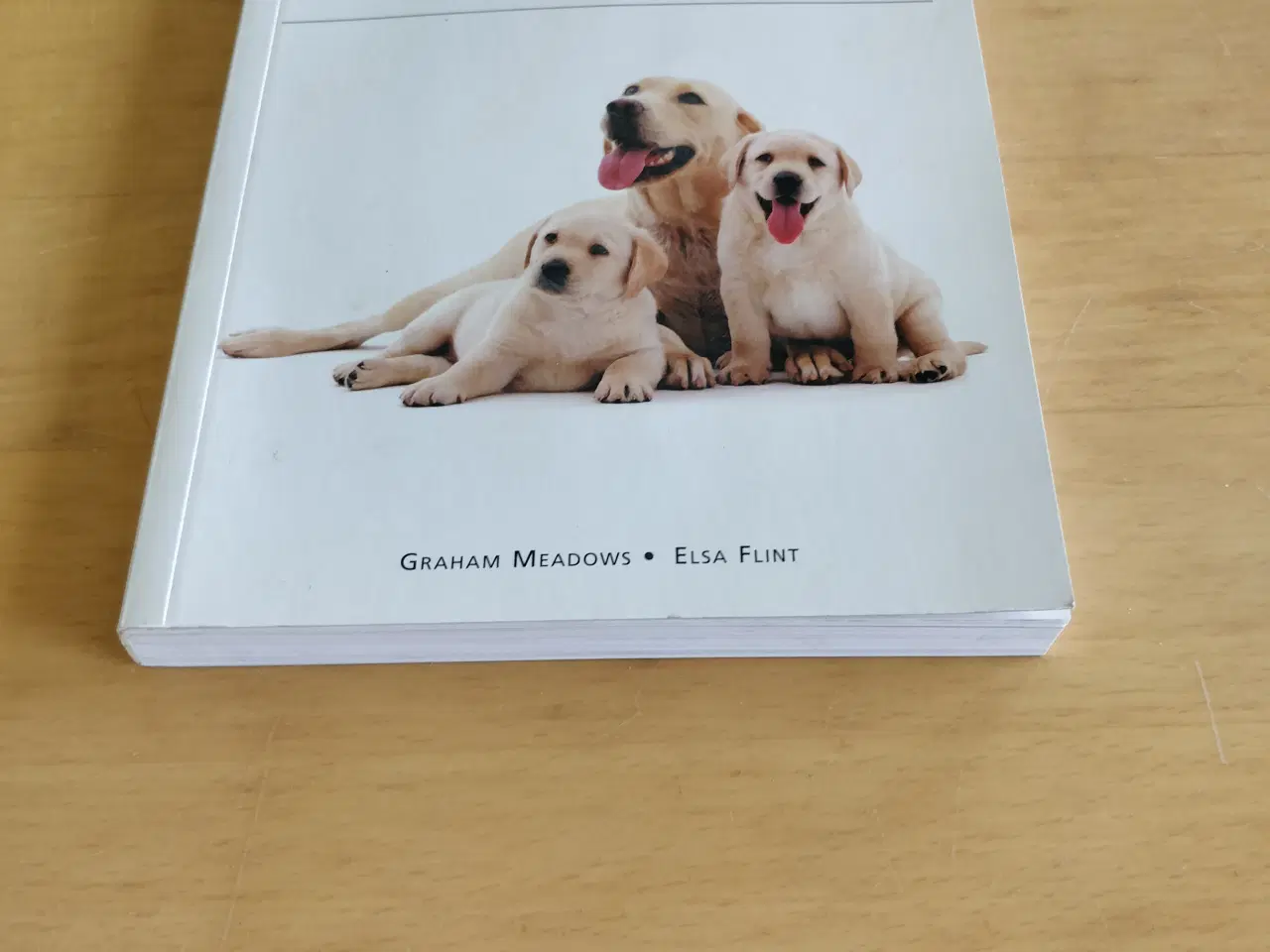 Billede 2 - Den komplette håndbog til din hund