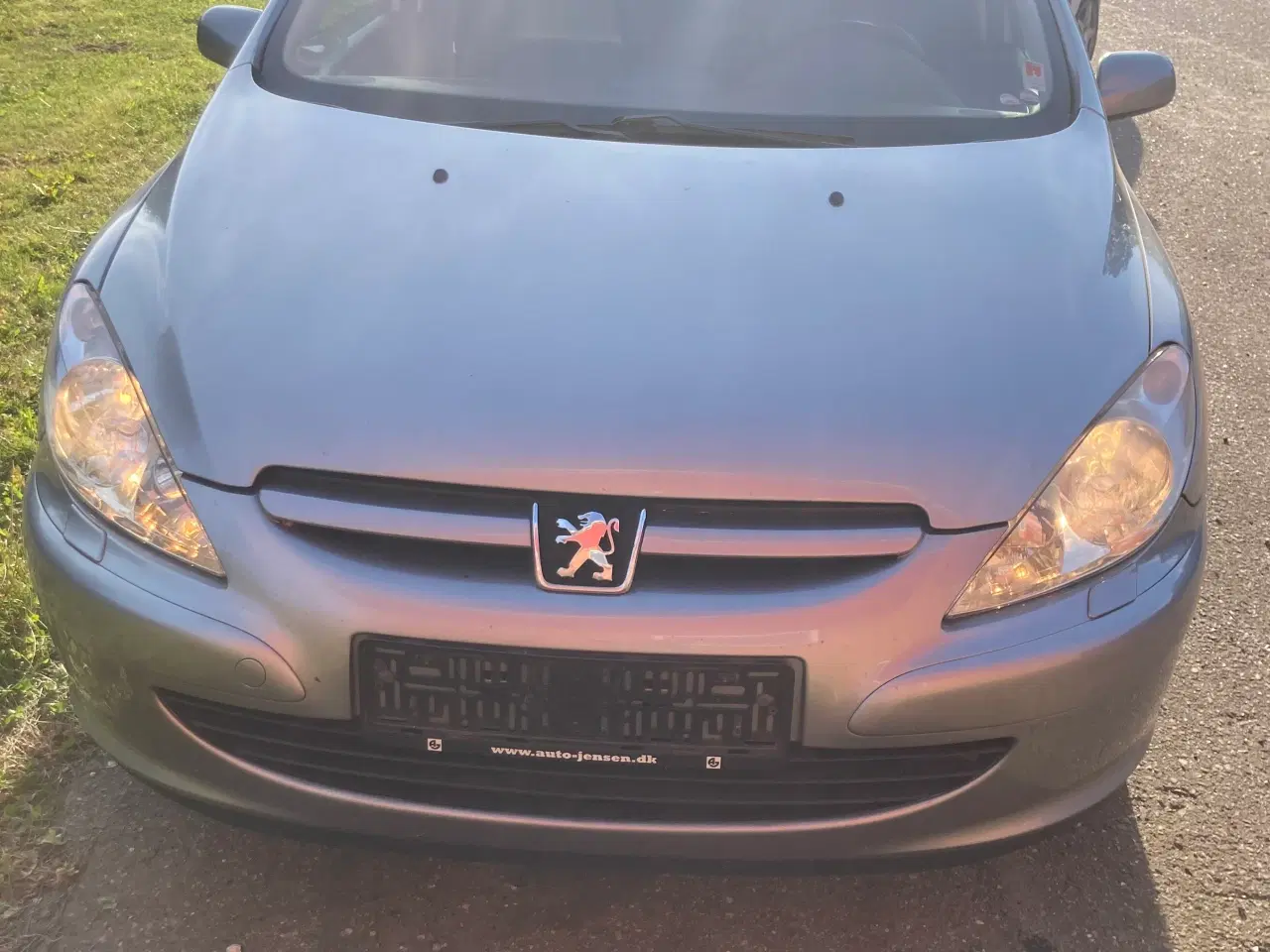 Billede 10 - Peugeot 307