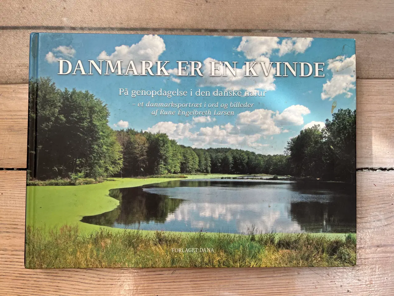 Billede 1 - Danmark er en kvinde