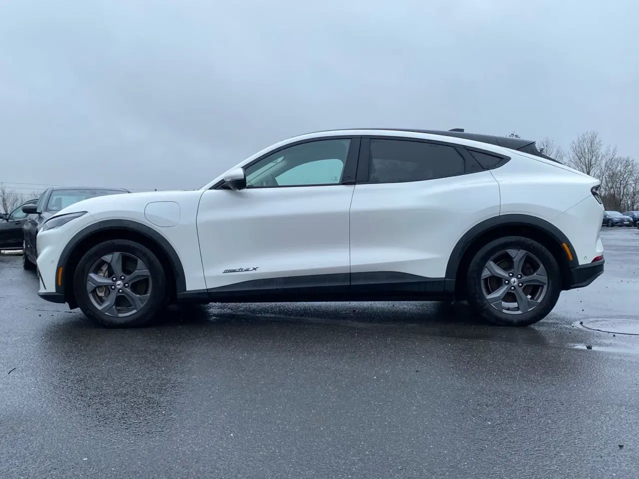 Billede 5 - Ford Mustang Mach-E EL UR 294HK 5d Aut.