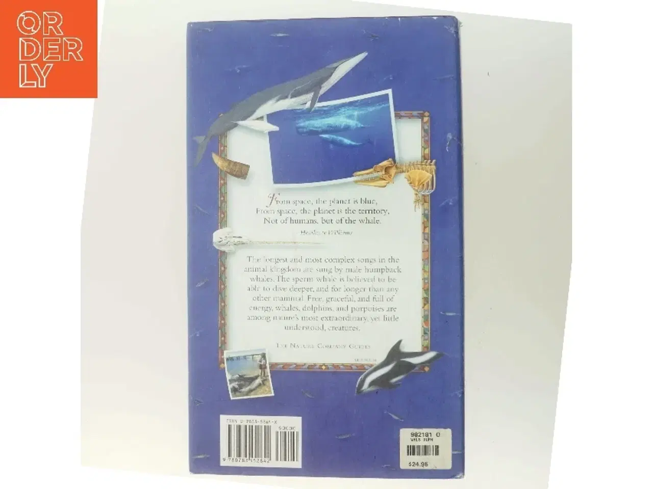 Billede 3 - Whales, Dolphins & Porpoises (Bog)