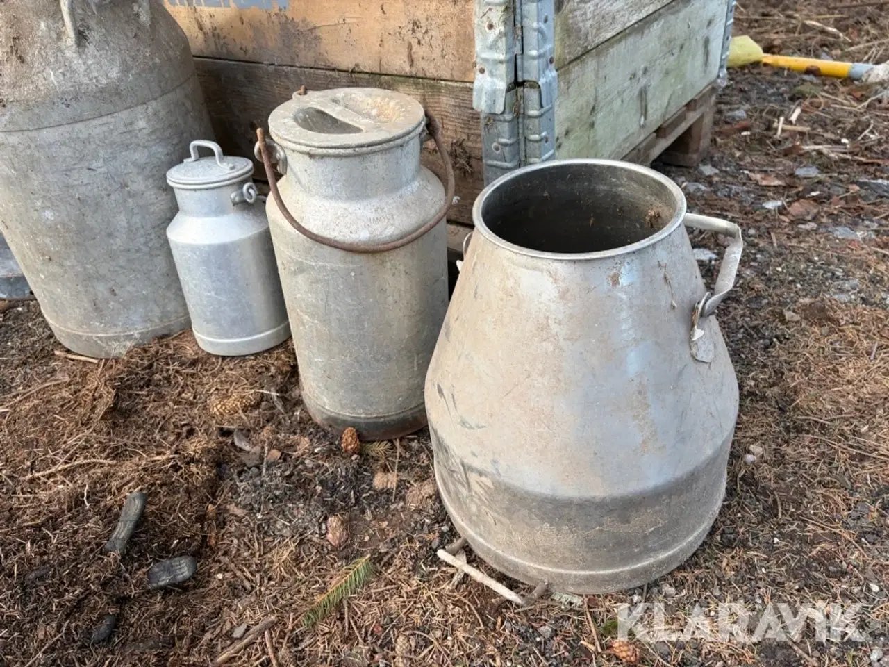 Billede 2 - Mælkejunger 12 styk samlet lot