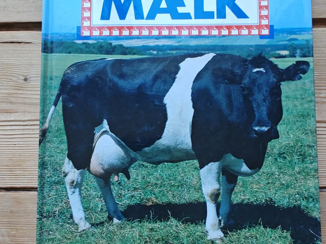Billede 1 - Hvor kommer maden fra ... mælk BOG af Jan Haugaard