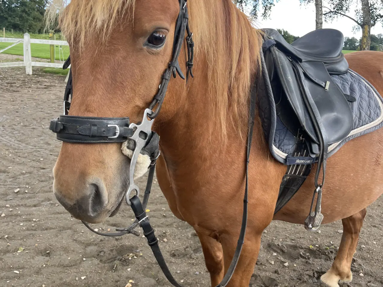 Billede 9 - Hurtigt salg ønskes 