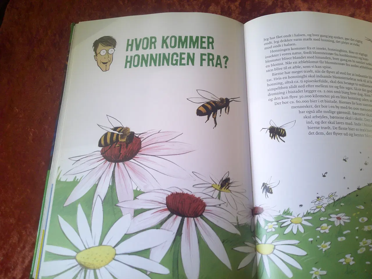 Billede 3 - Hvad?, hvordan?, hvorfor?, 
