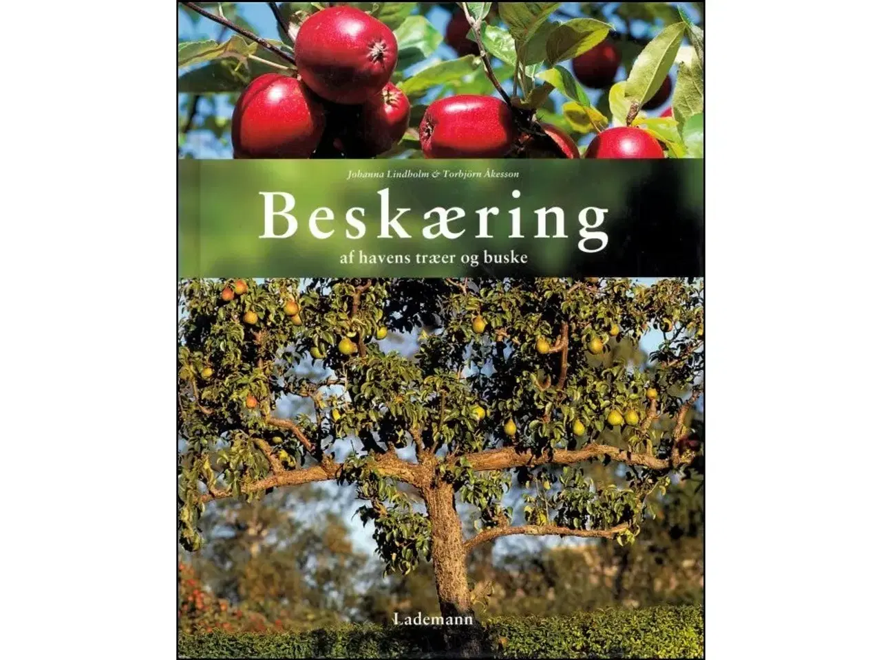 Billede 1 - Beskæring af havens træer og buske