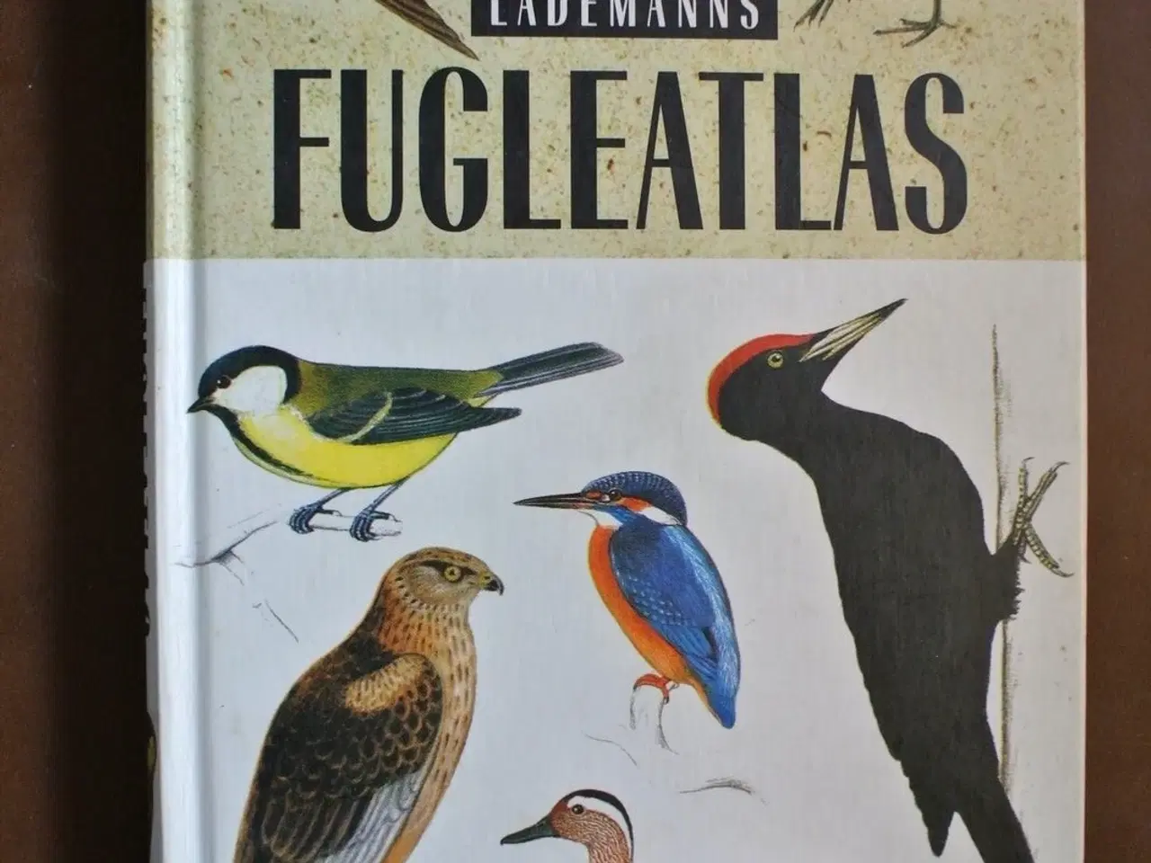 Billede 1 - lademanns fugleatlas, af hans skotte møller, emne: