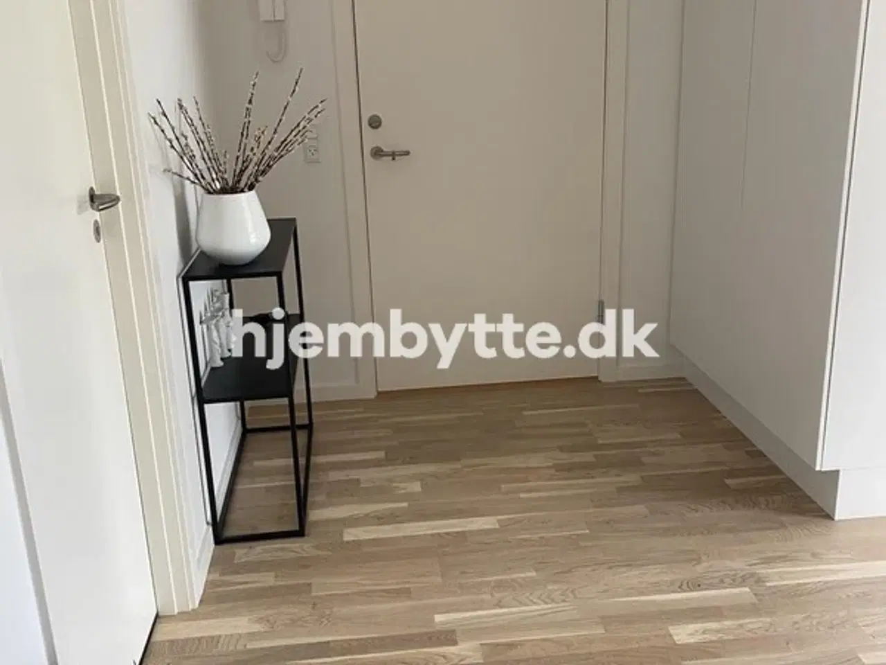 Billede 5 - Hjembytte - Rådhusdammen