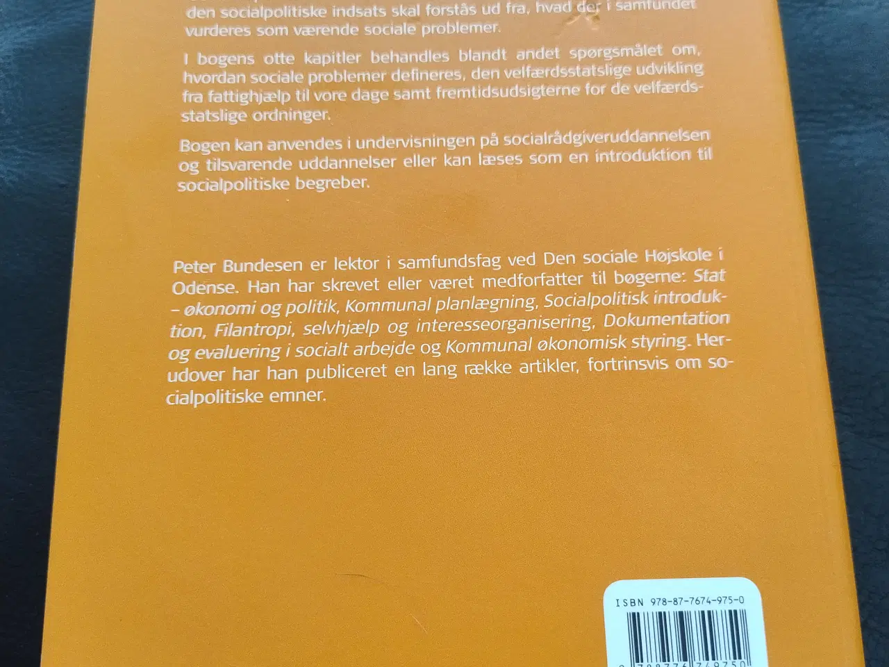 Billede 3 - Sociale problemer og socialpolitik