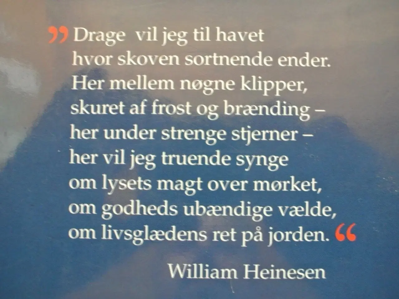 Billede 3 - godheds ubændige vælde en lille bog om william hei
