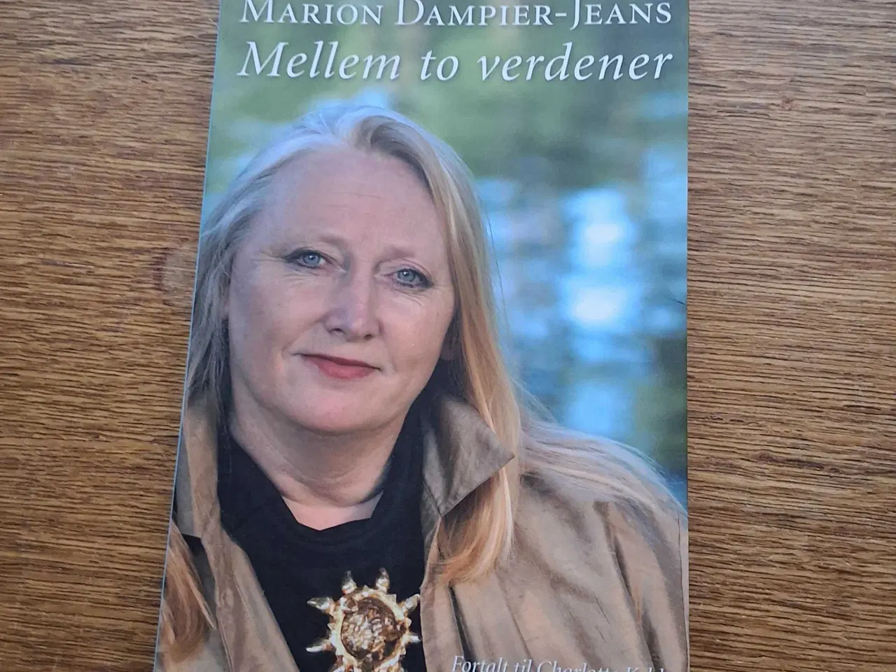 Billede 1 - MELLEM TO VERDENER. af Marion Dampier-Jeans 