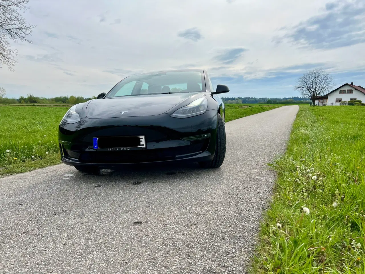 Billede 8 - Tesla Model 3 Performance