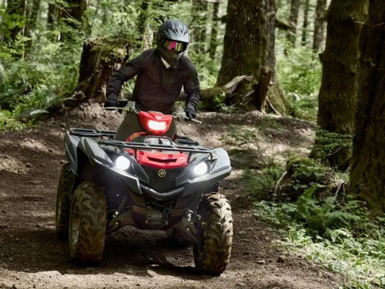 Billede 3 - Yamaha YFM 700 Grizzly EPS