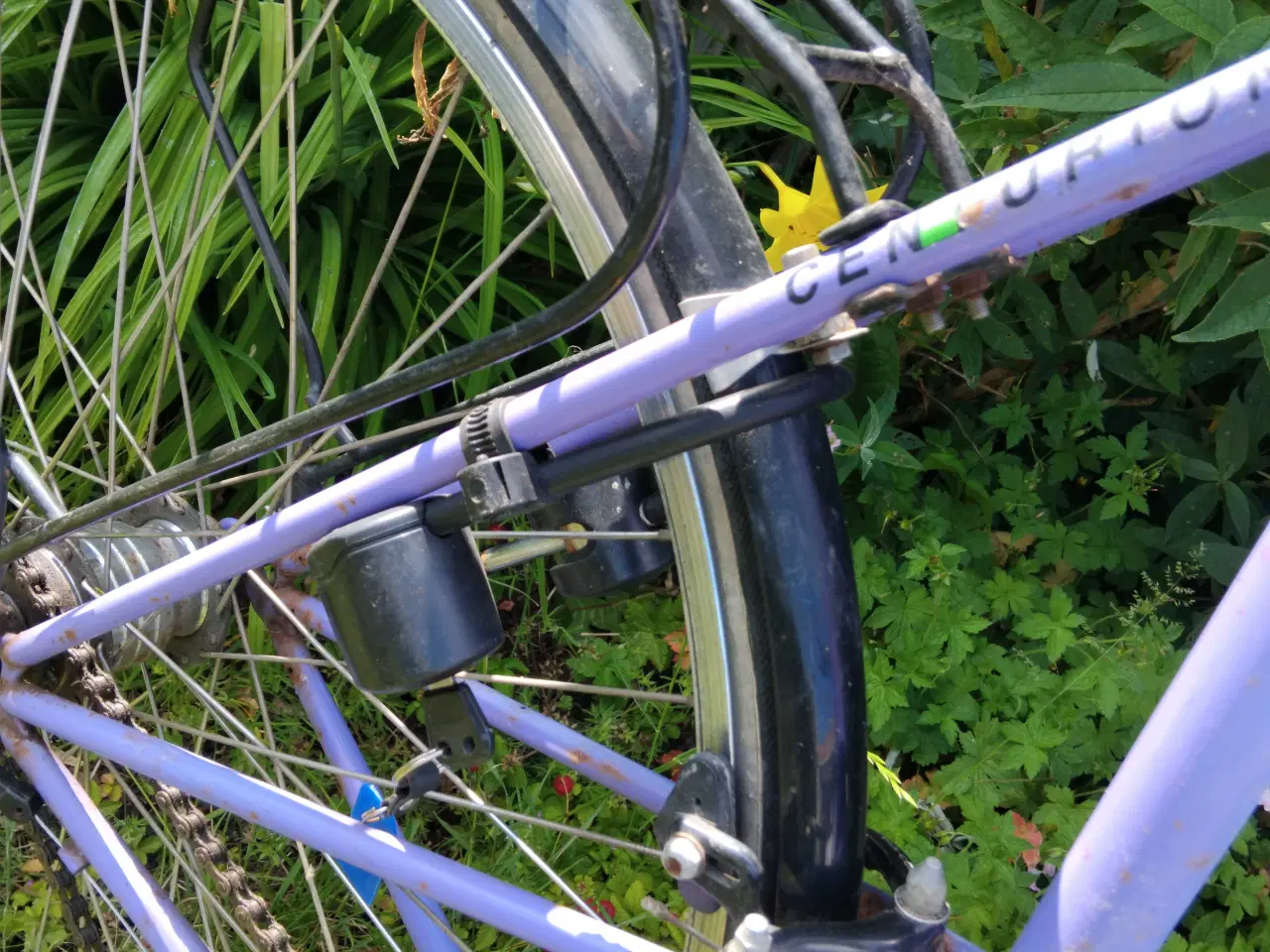 Billede 3 - Centurion mixte 