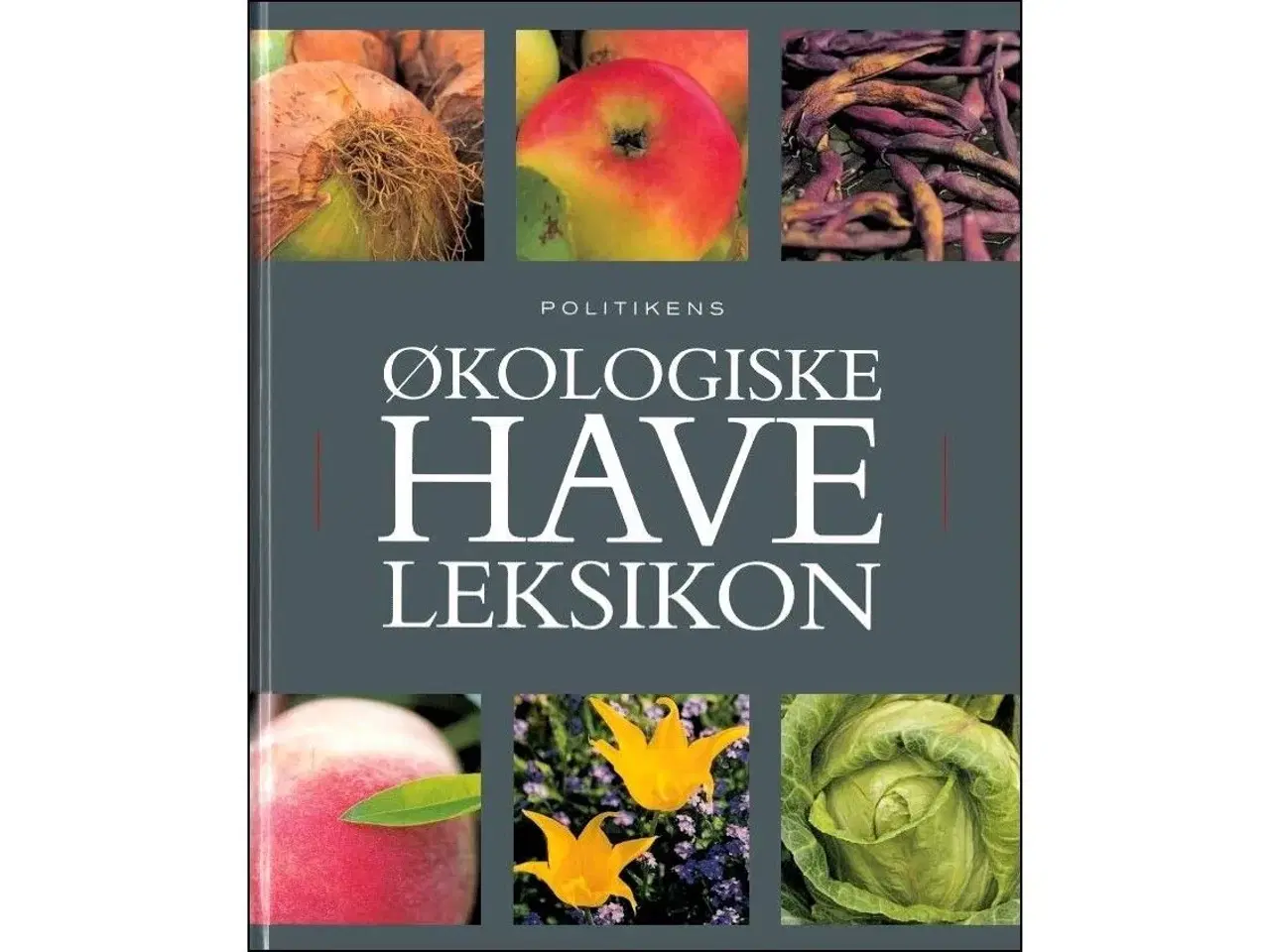 Billede 2 - Økologisk i Haven