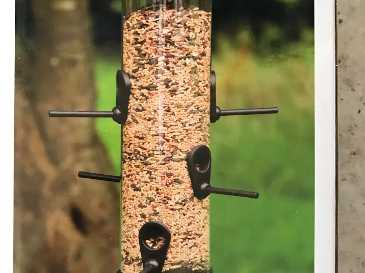 Billede 1 - PLUS Bird Feed