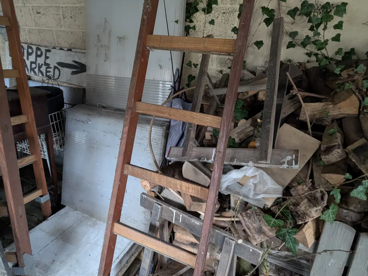 Billede 3 - Brandstiger 