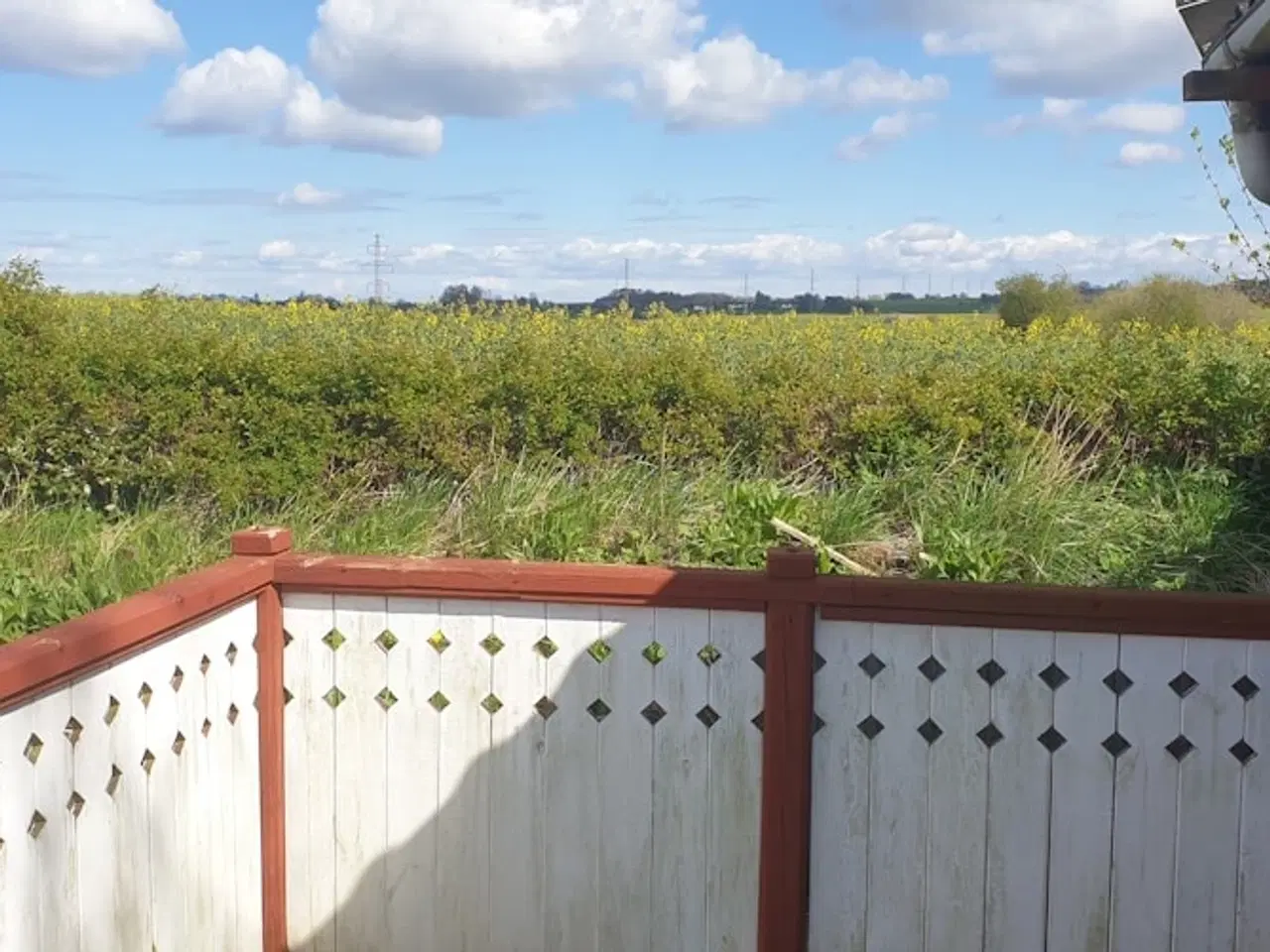 Billede 6 - Kolonihave Holbæk 