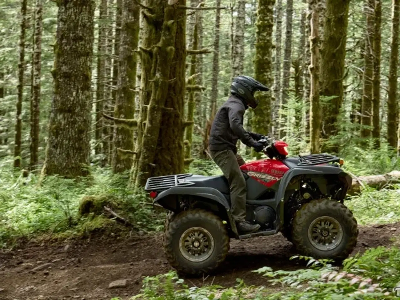 Billede 5 - Yamaha YFM 700 Grizzly EPS Traktor