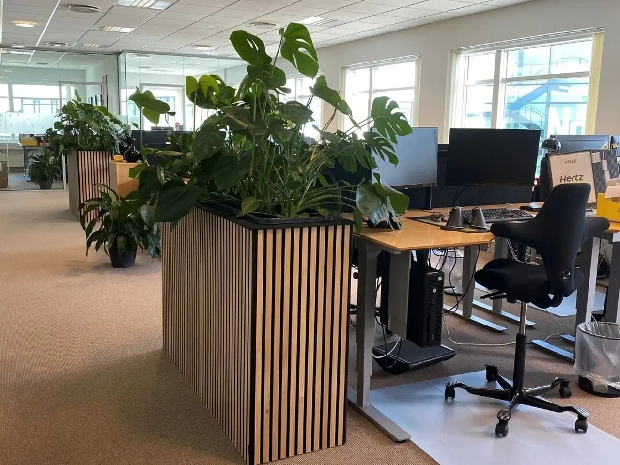 Billede 5 - Kontor i fællesskab med særdeles god udsigt