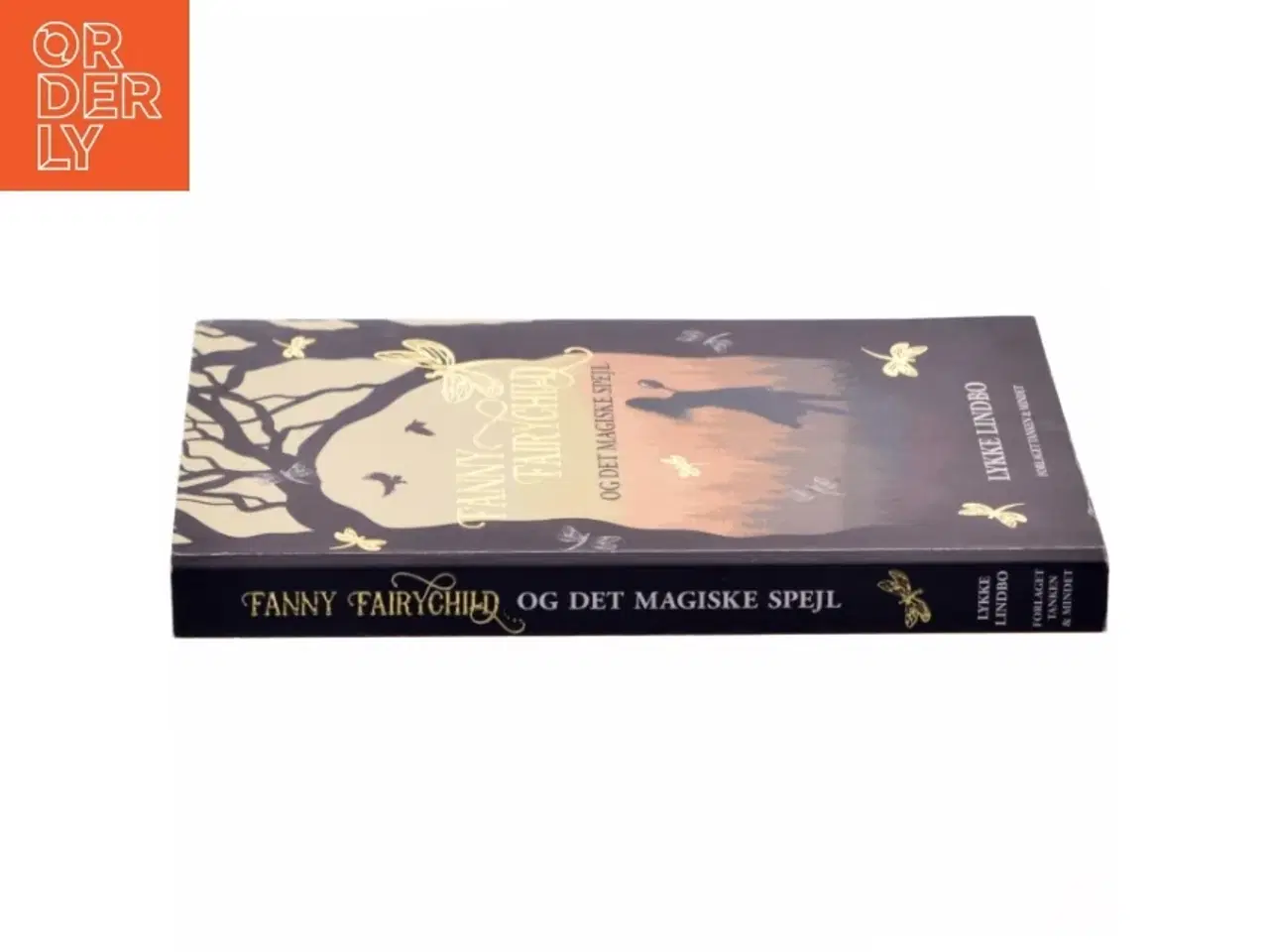 Billede 2 - Fanny Fairychild og det magiske spejl af Lykke Lindbo (f. 1969) (Bog)